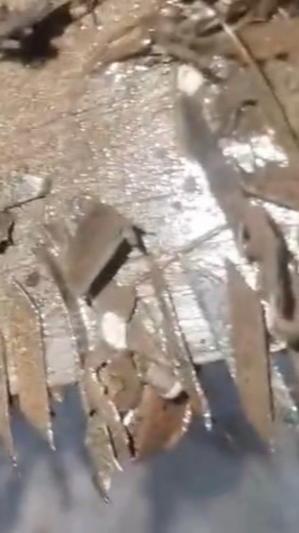 胡志明市交警警告菱形钉继续出现在杜梅路